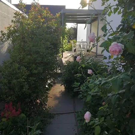 Peony Ubytování v soukromí