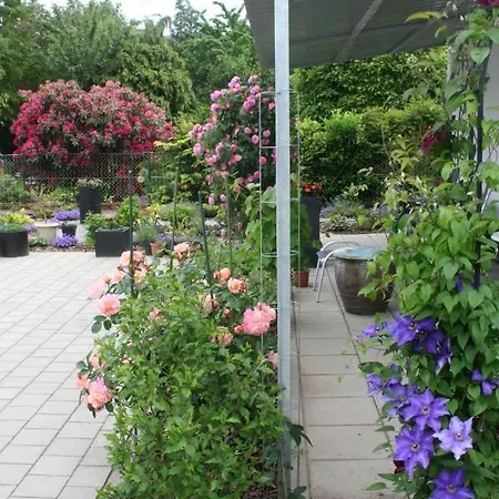 Privatunterkunft Peony